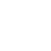 Reportsnow logo