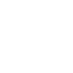 Jemini logo in white