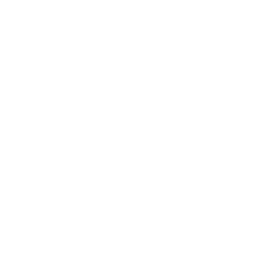 PayGlobal white logo