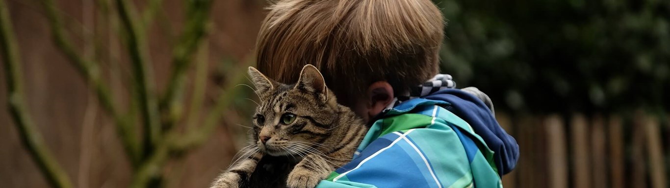 Boy hugging a tabby cat. 